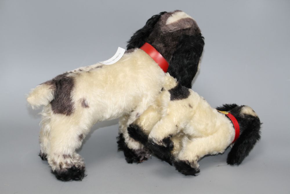 Two 1950s Steiff Cockie dogs, 33cm and 22cm
